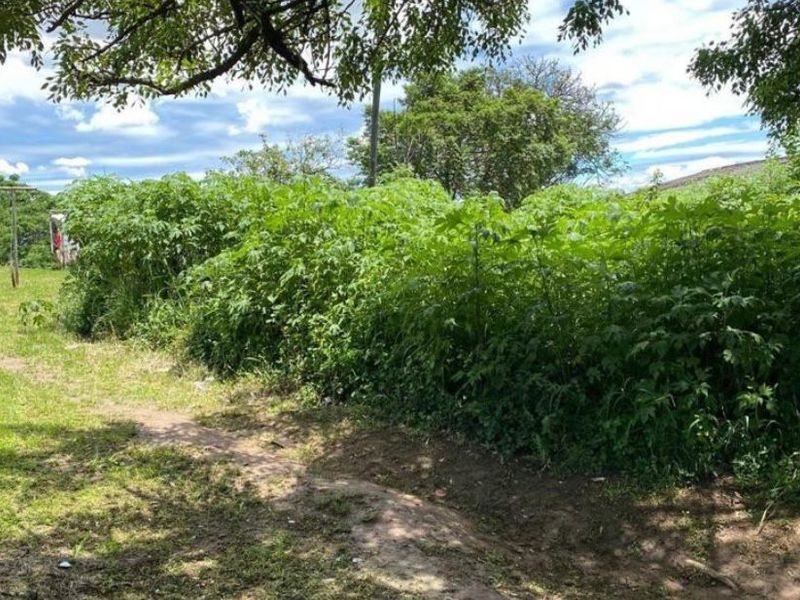 Vacant land opportunity in Clermont - Photo 2