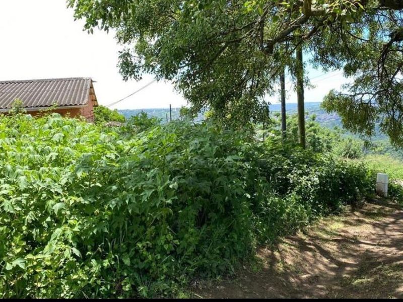 Vacant land opportunity in Clermont - Photo 6