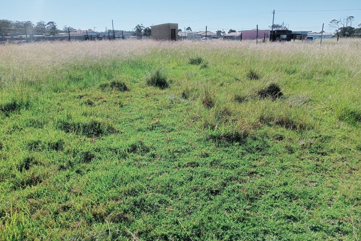 4 bedroom  - Photo 5