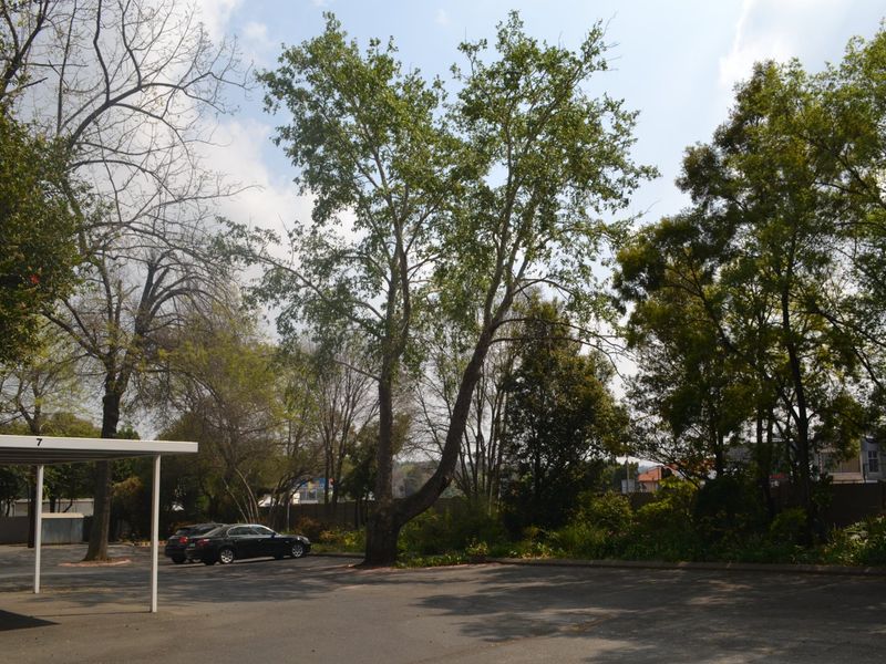 Exterior view of the property showing a paved driveway area with a covered carport structure and mature landscaping.