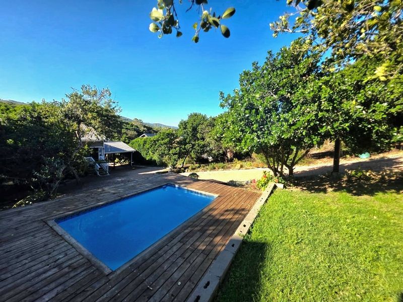 And the living is easy...  modern coastal gem in Wilderness. - Photo 2