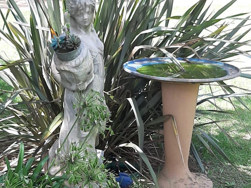 8853 square metres and a charming face-brick home  - Photo 10