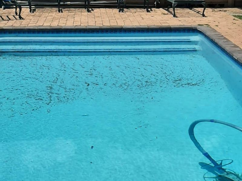 8853 square metres and a charming face-brick home  - Photo 9