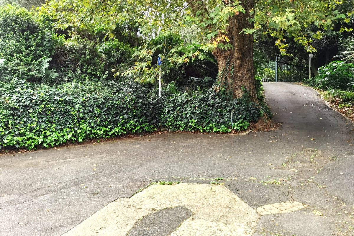 Forest Setting, Generous Space, Ready to Be Reimagined - Photo 3