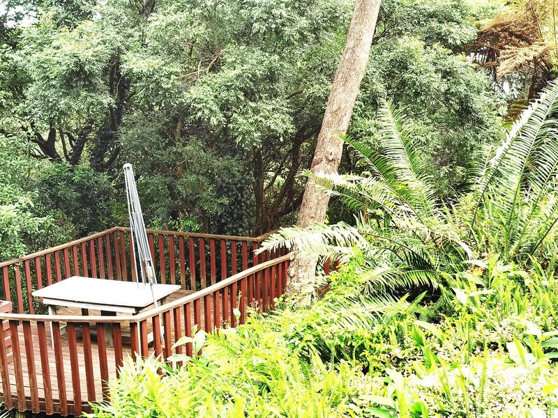 A raised timber deck with a wooden balustrade, nestled within a lush, mature garden setting.