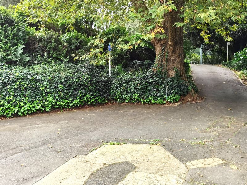 A view of the property's asphalt driveway entrance, surrounded by mature trees and established garden landscaping.