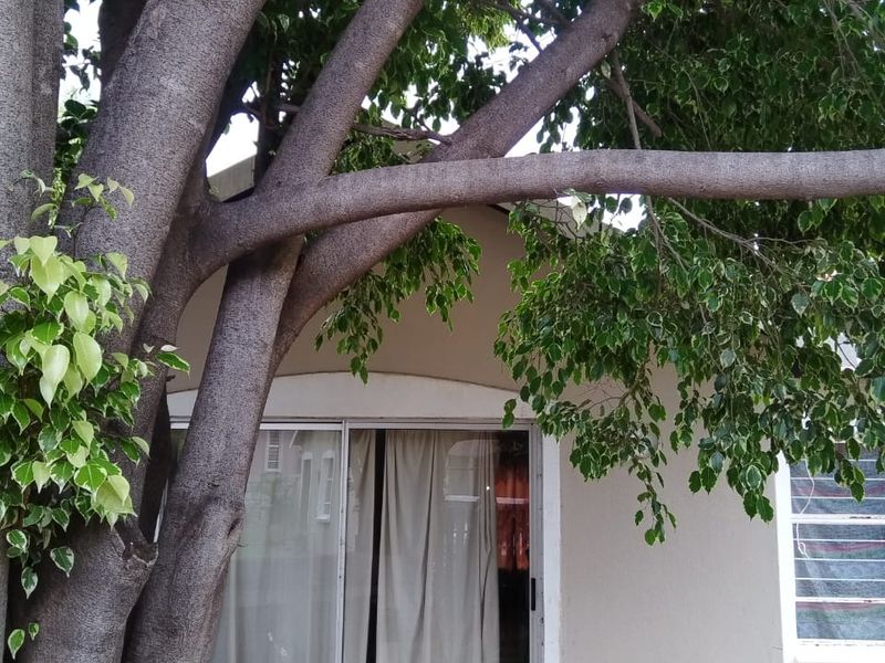 A rear exterior view of the property featuring a paved patio area, sliding glass doors, and a large mature tree providing shade.