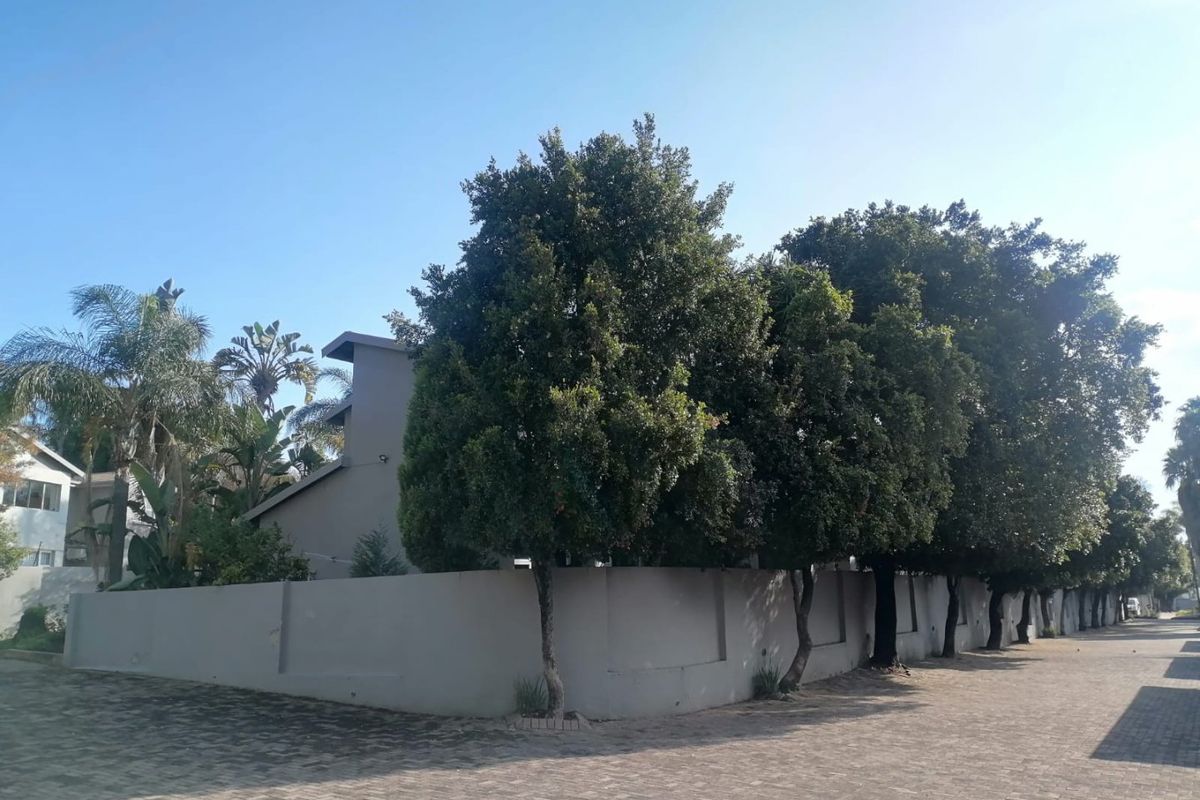 Stunning 2-Bedroom Full 1bath Apartment for Sale – Avon Aire Village, Northriding - Photo 4