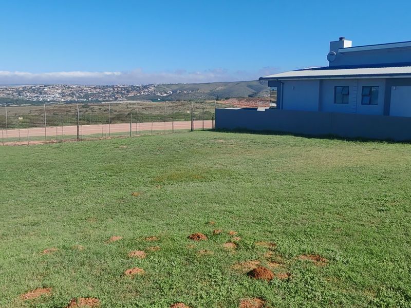 A view of the rear yard featuring a well-maintained lawn, perimeter fencing, and a boundary wall adjacent to the residential structure.