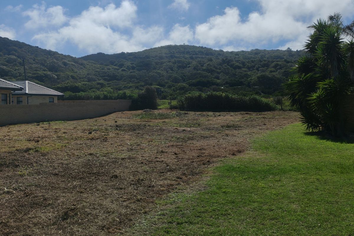 Build your dream Home in Peaceful Coastal Surroundings - Photo 4