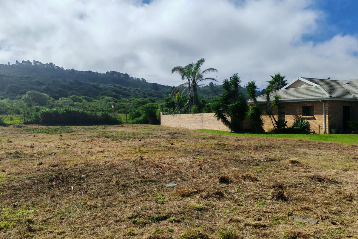 Build your dream Home in Peaceful Coastal Surroundings - Photo 5