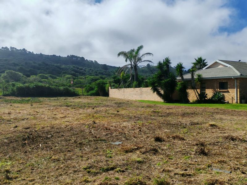 Build your dream Home in Peaceful Coastal Surroundings - Photo 5