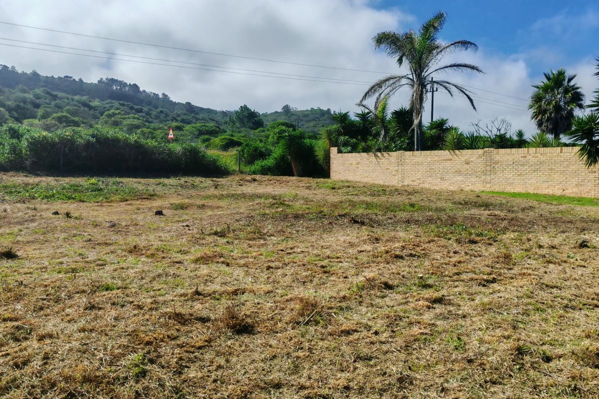 Build your dream Home in Peaceful Coastal Surroundings - Photo 3