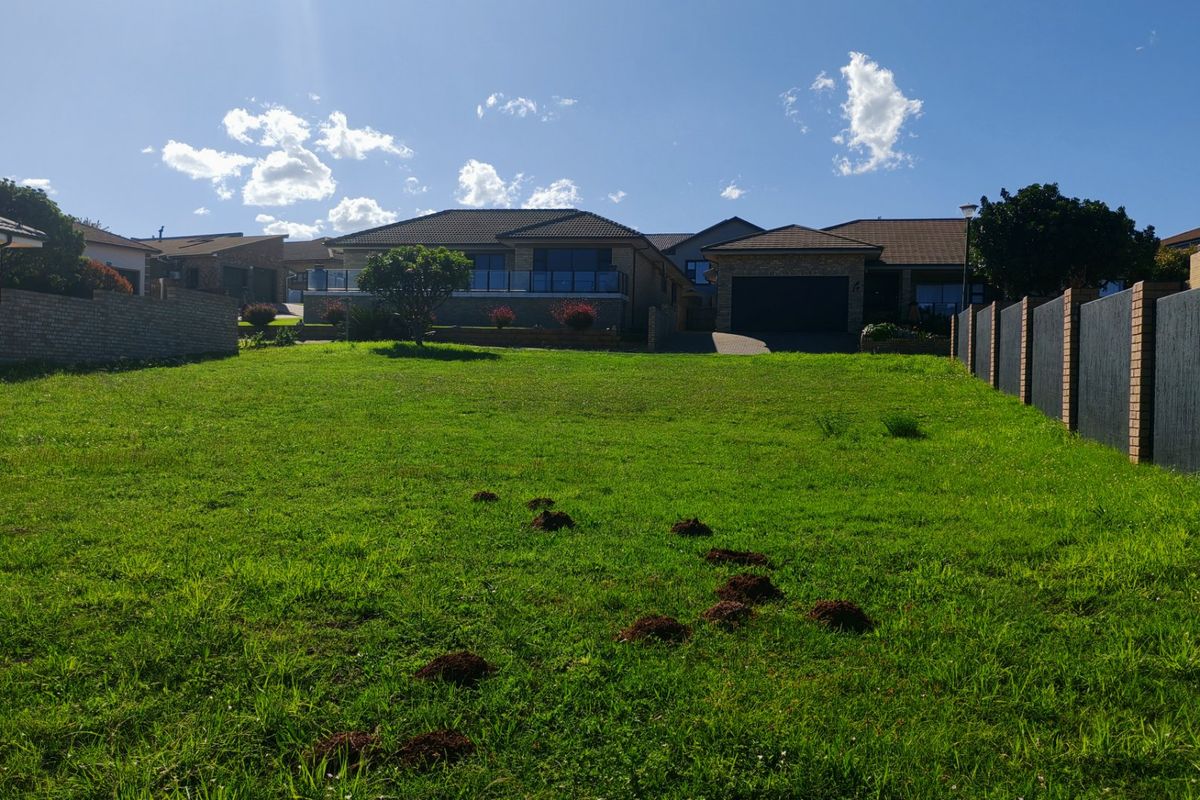 A view of a vacant residential plot featuring a grass lawn and perimeter boundary walls, with neighboring properties visible in the background.