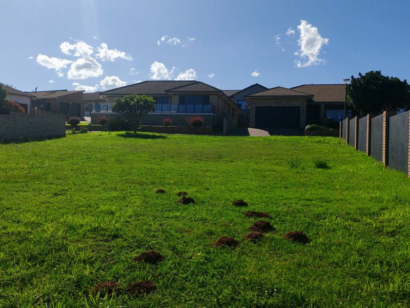 A view of a vacant residential plot featuring a grass lawn and perimeter boundary walls, with neighboring properties visible in the background.