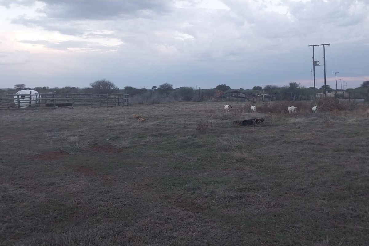 3 Bed Farm in Christiana Rural for Sale - Photo 2