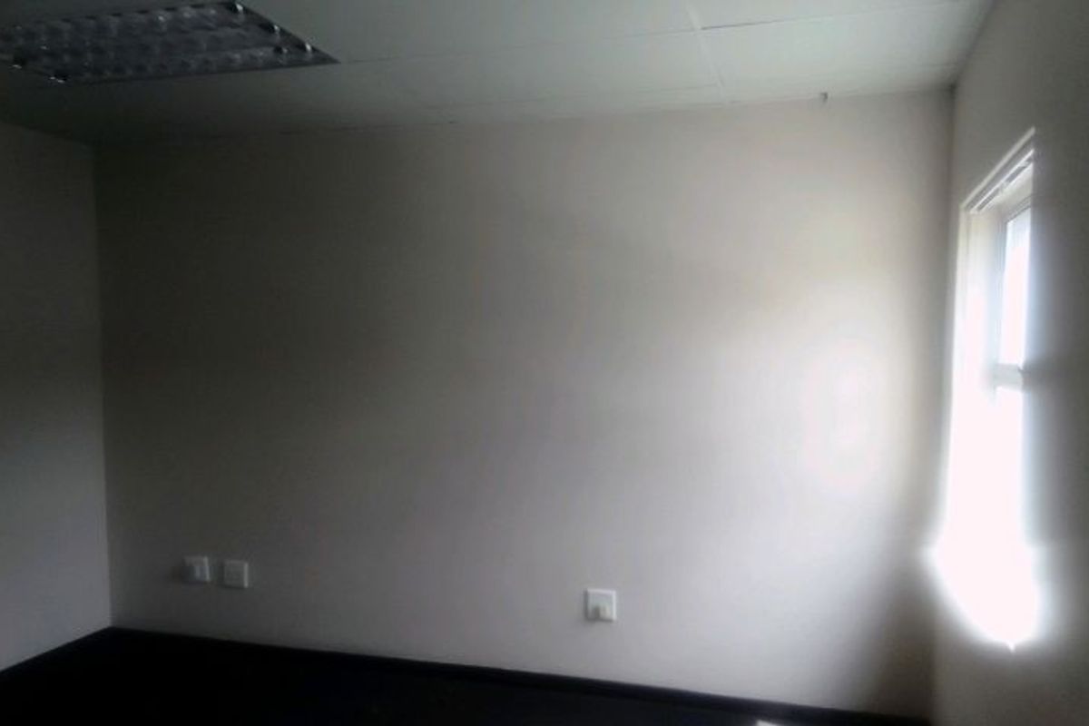 An empty commercial office space featuring suspended ceiling tiles, recessed lighting, and a side window, suitable for a professional workspace.