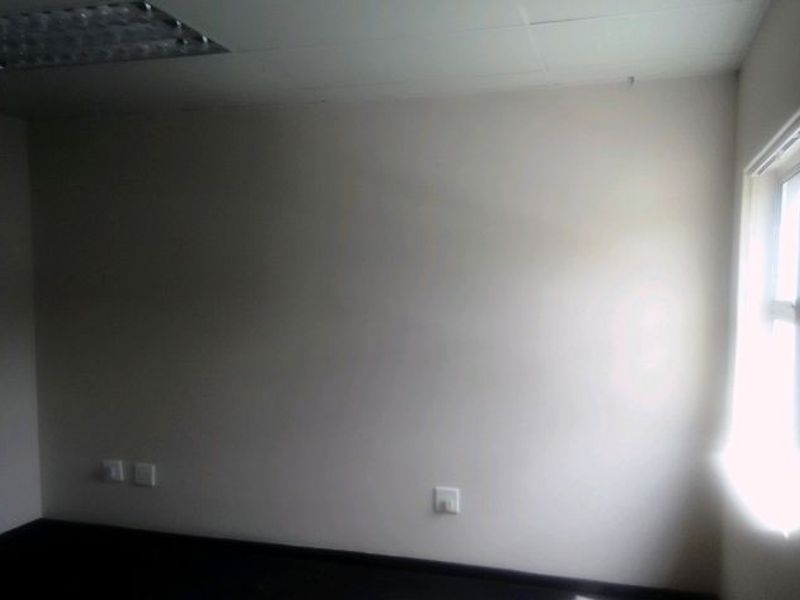 An empty commercial office space featuring suspended ceiling tiles, recessed lighting, and a side window, suitable for a professional workspace.