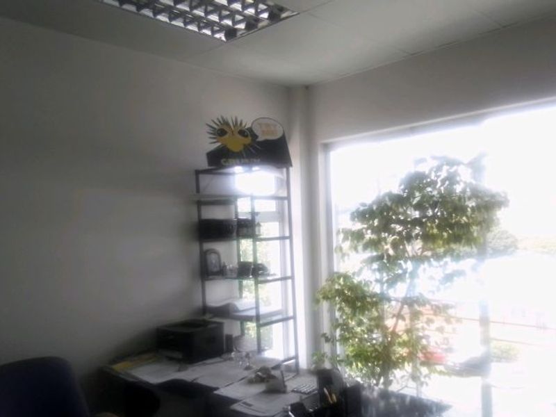 A functional office space featuring a large window providing natural light and a standard suspended ceiling grid.