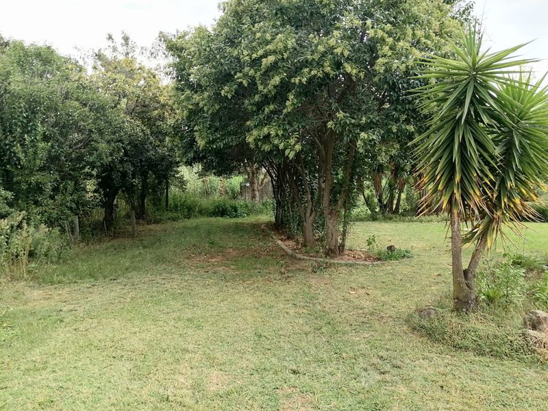 Gust-house apartment property available for rental with open parking - Photo 6