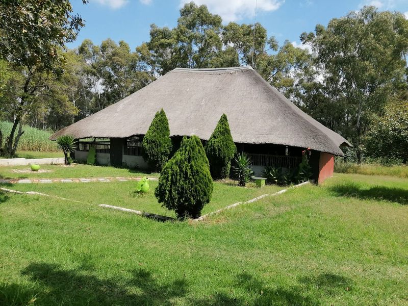 Event venue for rental with open parking and flexible open-plan spaces - Photo 4