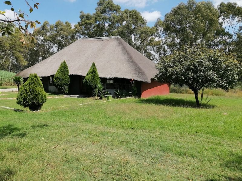 Event venue for rental with open parking and flexible open-plan spaces - Photo 2