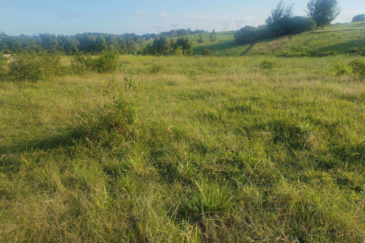 Vacant land for sale in Dlangezwa,Ongoye. - Photo 5