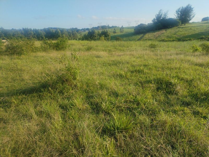 Vacant land for sale in Dlangezwa,Ongoye. - Photo 5