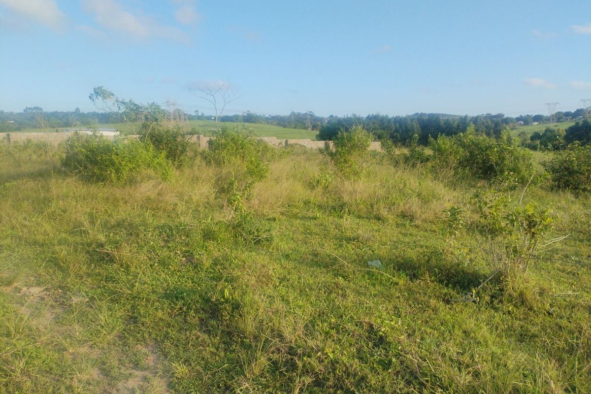 Vacant land for sale in Dlangezwa,Ongoye. - Photo 2