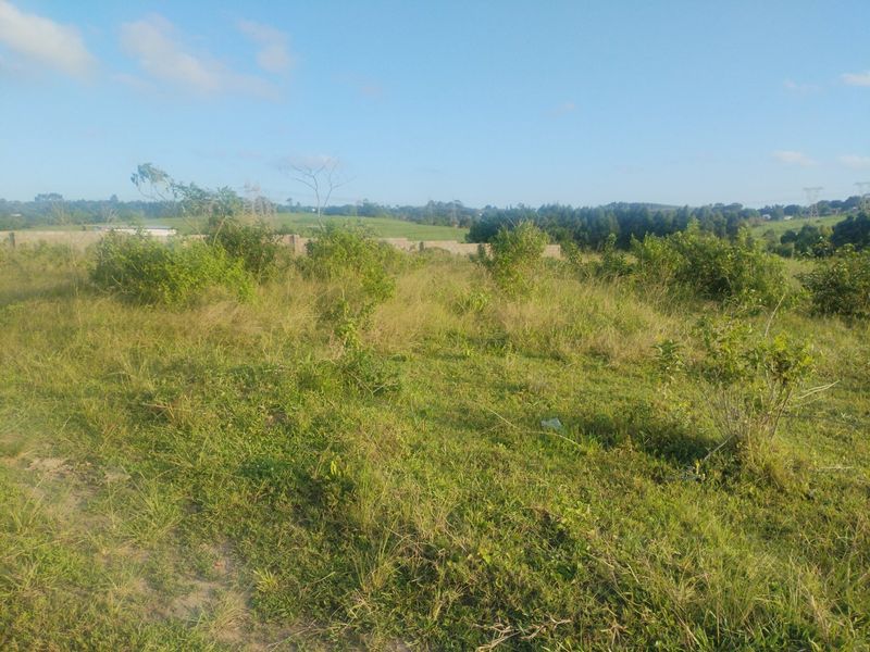 Vacant land for sale in Dlangezwa,Ongoye. - Photo 6