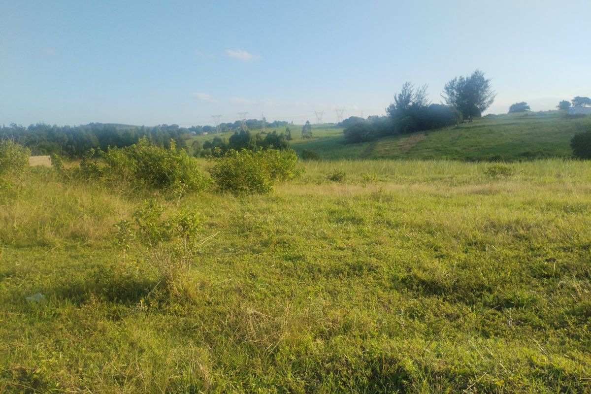 Vacant land for sale in Dlangezwa,Ongoye. - Photo 3