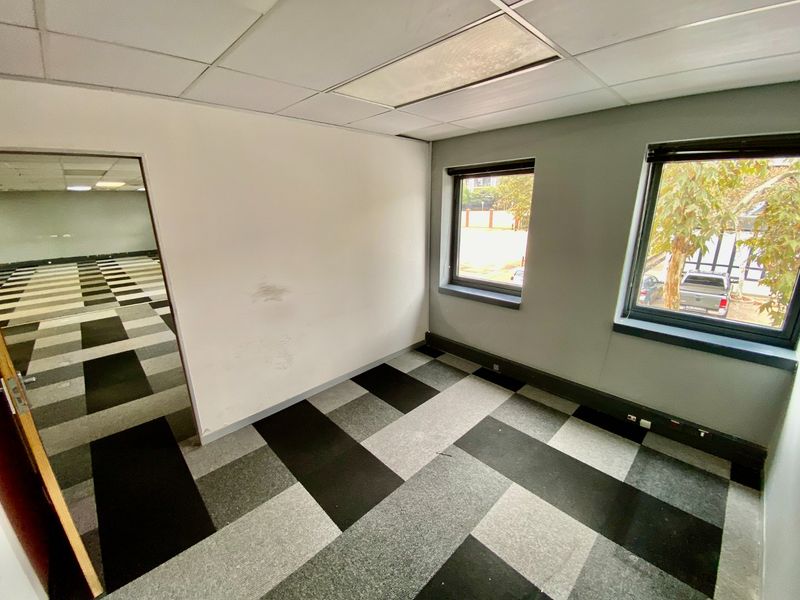 An empty office space featuring a suspended ceiling, recessed lighting, and patterned carpet tiles with natural light from two windows.
