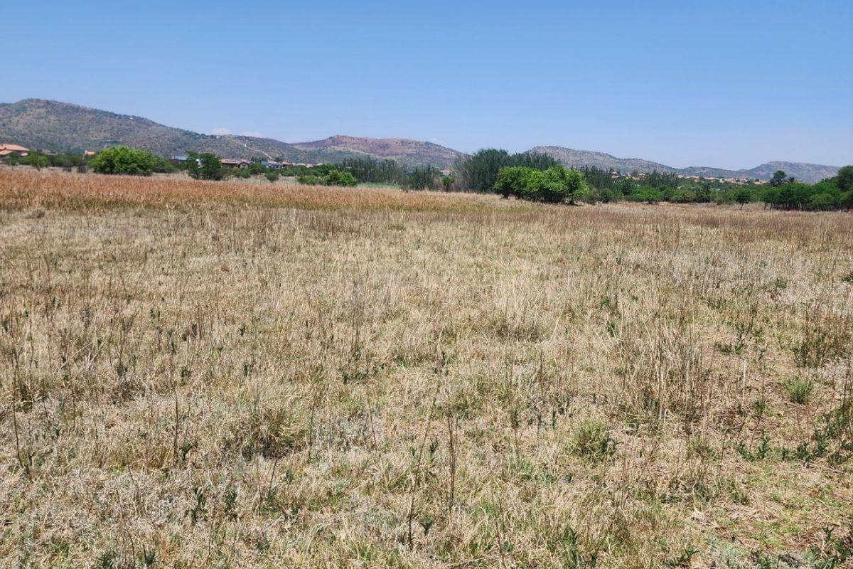 La Camargue Vacant Stand for Future Dreams - 70% sold out. - Photo 3