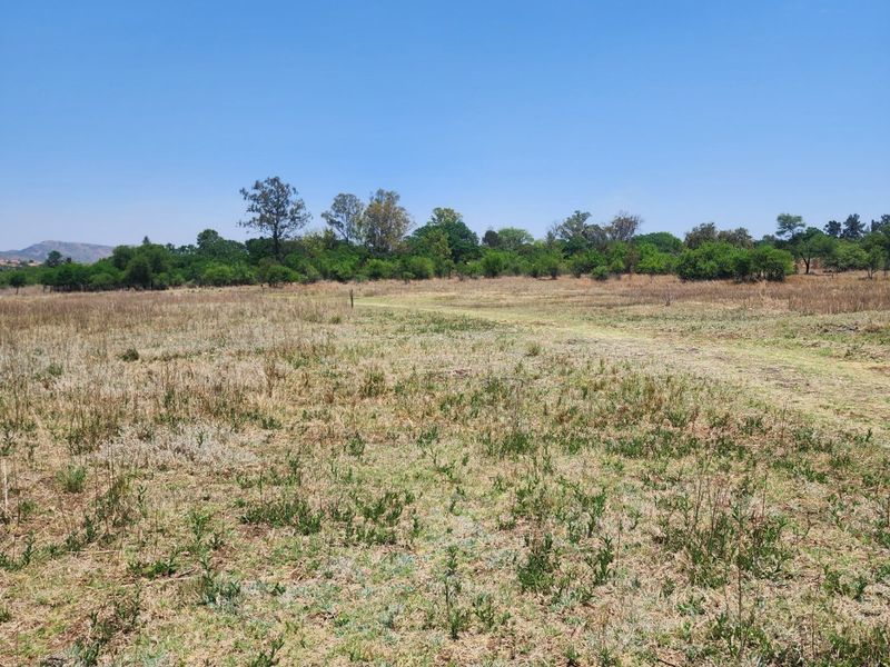 La Camargue Vacant Stand for Future Dreams - 70% sold out. - Photo 9