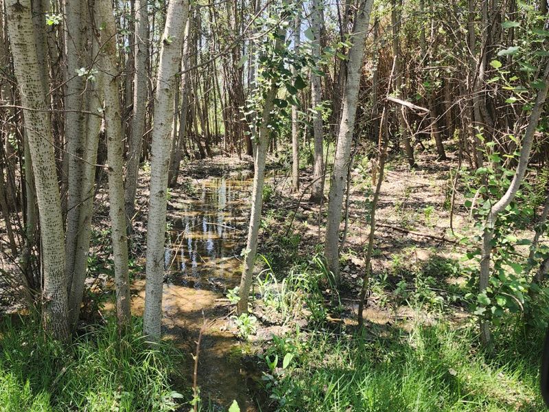 La Camargue Vacant Stand for Future Dreams - 70% sold out. - Photo 10