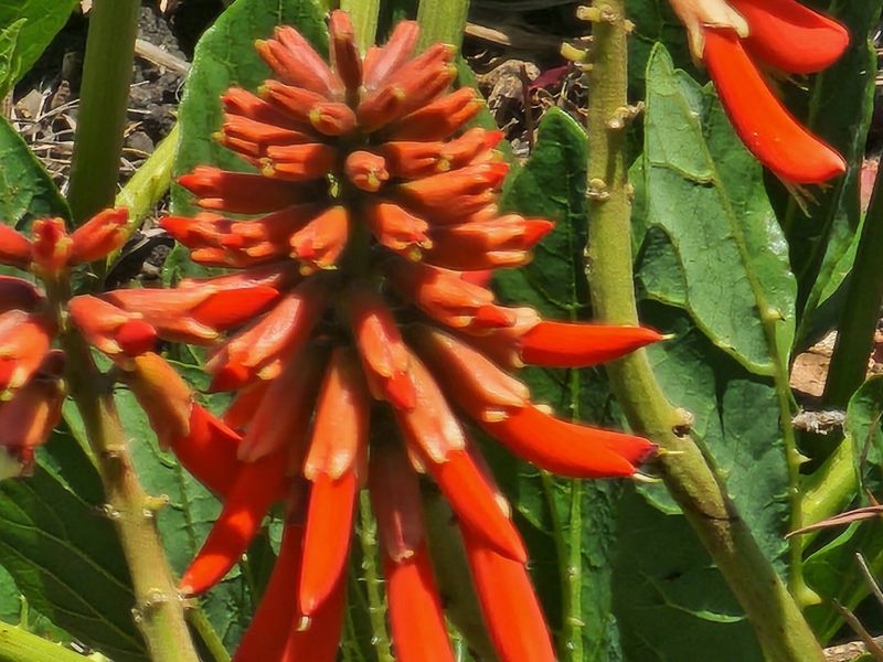 La Camargue Vacant Stand for Future Dreams - 70% sold out. - Photo 4