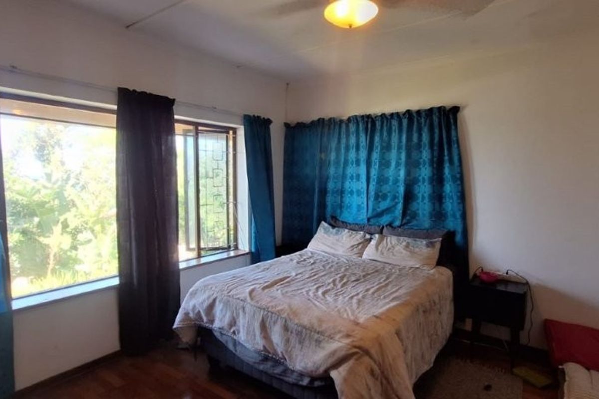 A bedroom featuring hardwood flooring, a ceiling fan, and large windows with security bars, offering a functional space with potential for cosmetic updates.