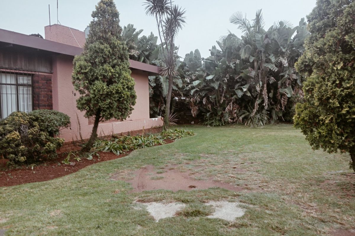 Lovely 3 bedroom 1 bathroom Home with a pool - Photo 4