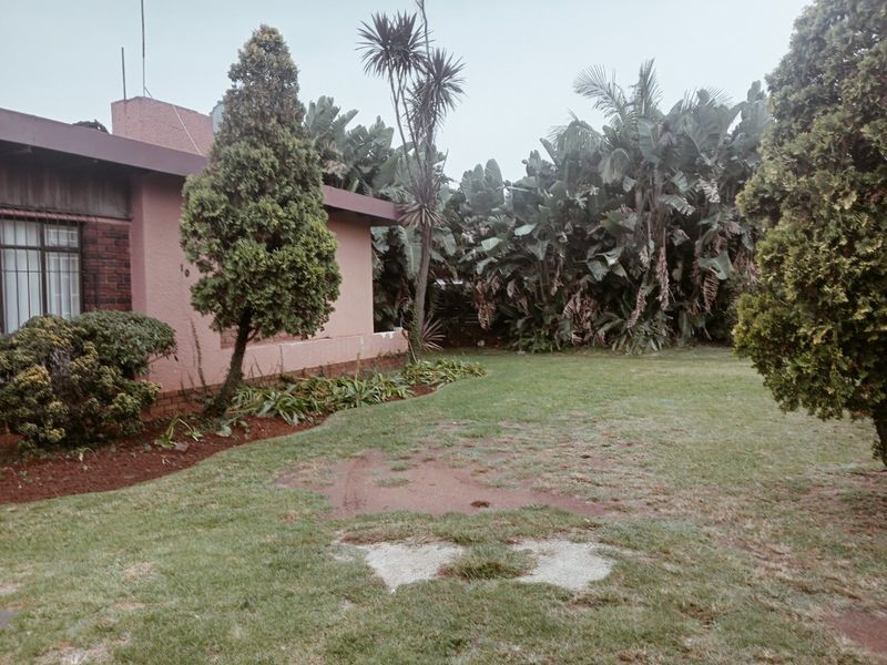 Lovely 3 bedroom 1 bathroom Home with a pool - Photo 4