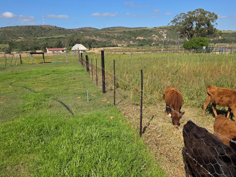 Vacant Land For Sale... Rural Community... Close to Hartenbos !!! - Photo 9