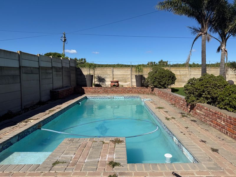 Charming 3 Bedroom Home in Campher Park Despatch - Photo 7