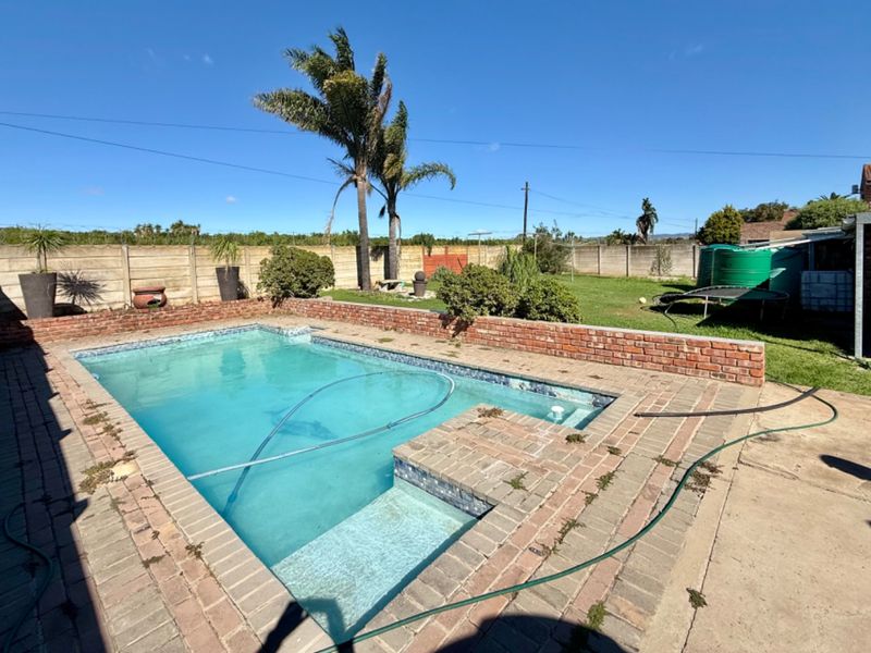 Charming 3 Bedroom Home in Campher Park Despatch - Photo 6