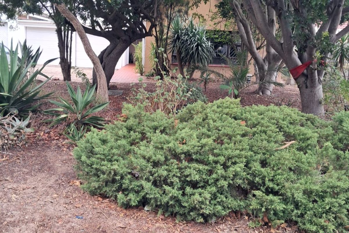 3 BEDROOM HOUSE WITH GRANNY FLAT FOR SALE IN BERNADINO HEIGHTS KRAAIFONTEIN - Photo 5