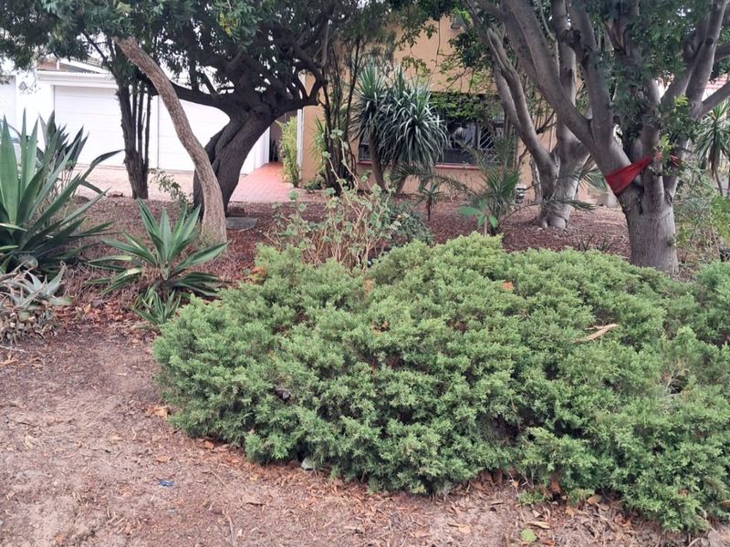 3 BEDROOM HOUSE WITH GRANNY FLAT FOR SALE IN BERNADINO HEIGHTS KRAAIFONTEIN - Photo 5