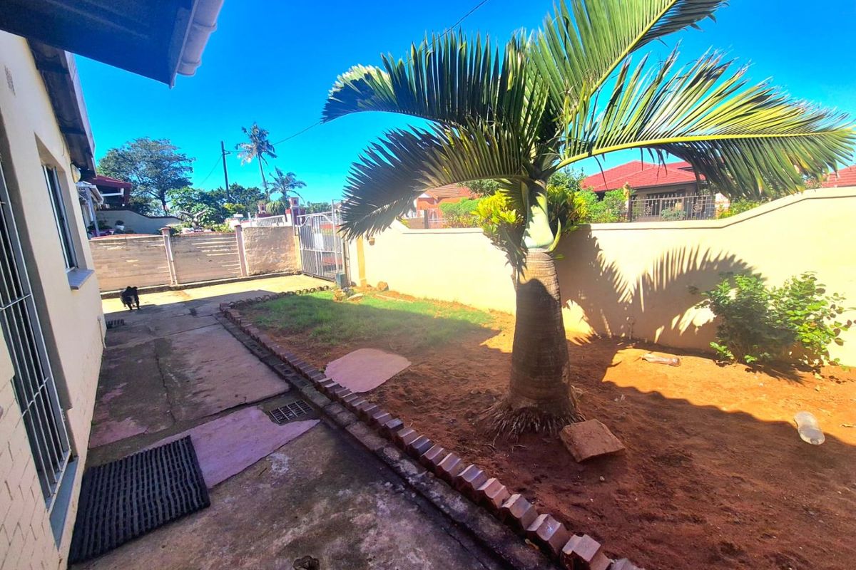 Rear exterior area featuring a concrete paved walkway, perimeter wall, metal gate, and a central palm tree in a garden bed.