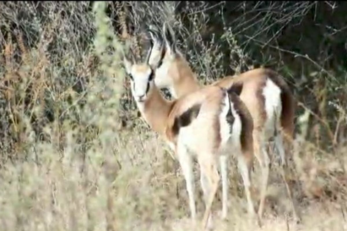 0 Bed Farm in Bloemfontein Rural for Sale - Photo 4