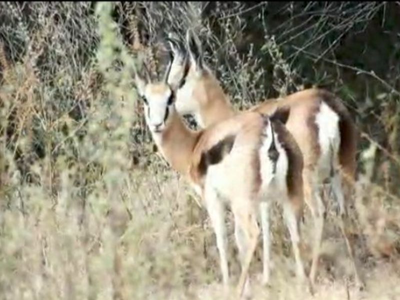 0 Bed Farm in Bloemfontein Rural for Sale - Photo 4