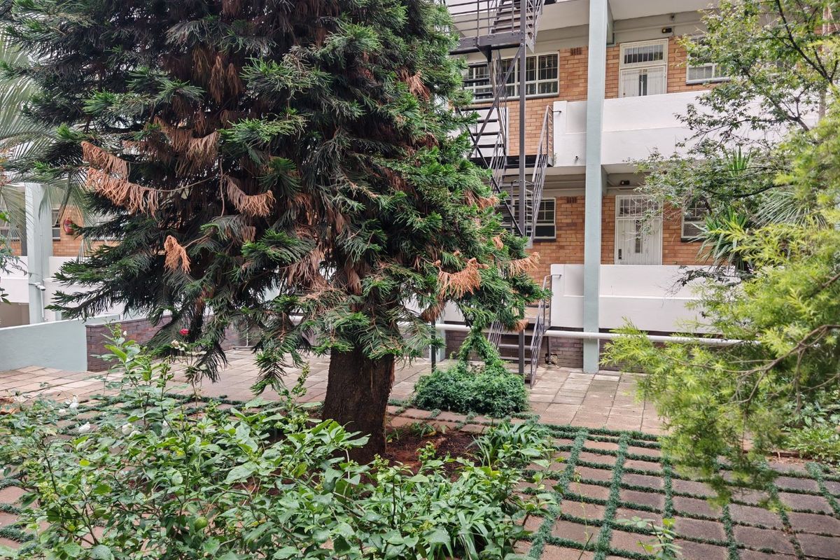 2 Bedroom Apartment in the Heart of Rosebank for Rent. - Photo 3