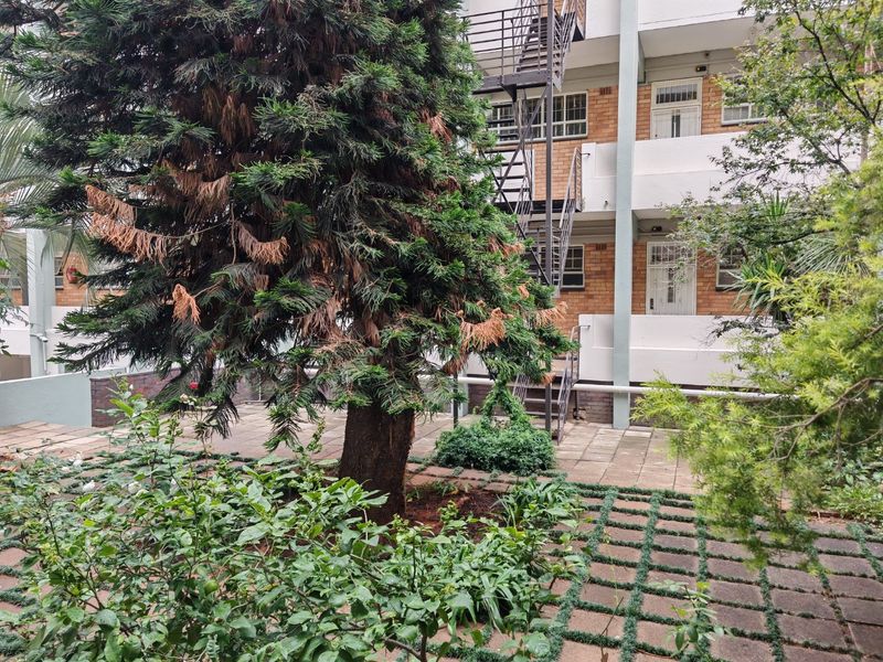 2 Bedroom Apartment in the Heart of Rosebank for Rent. - Photo 3