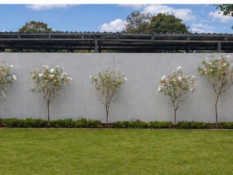 Spacious 3-Bedroom House To Rent   This lovely 3-bedroom home offers comfort, space, and convenience—perfect for families looking for a peaceful place to call home.  Property Features:  3 well-sized bedrooms 1 bathroom Spacious kitchen Large, comfortable lounge Single garage Additional secure parking  Generous Yard: Enjoy a big yard with plenty of space—ideal for kids, pets, or simply relaxing outdoors.  Located in a safe and secure area, giving you peace of mind.  Prime Location:  Close to schools Near Oakfields Pick n Pay Easy access to main routes and amenities  This home combines space, convenience, and great value don’t miss out!  Contact today to arrange a viewing. - Photo 3